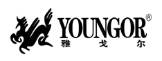 雅戈爾集團